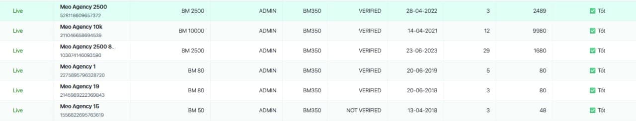 Facebook ads account screenshot 3